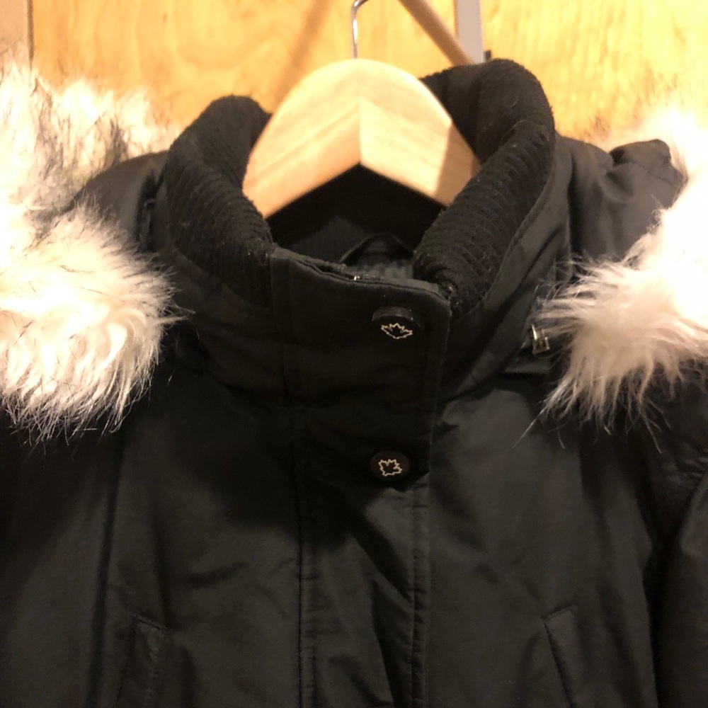 Puffer - Picture 5 of 6